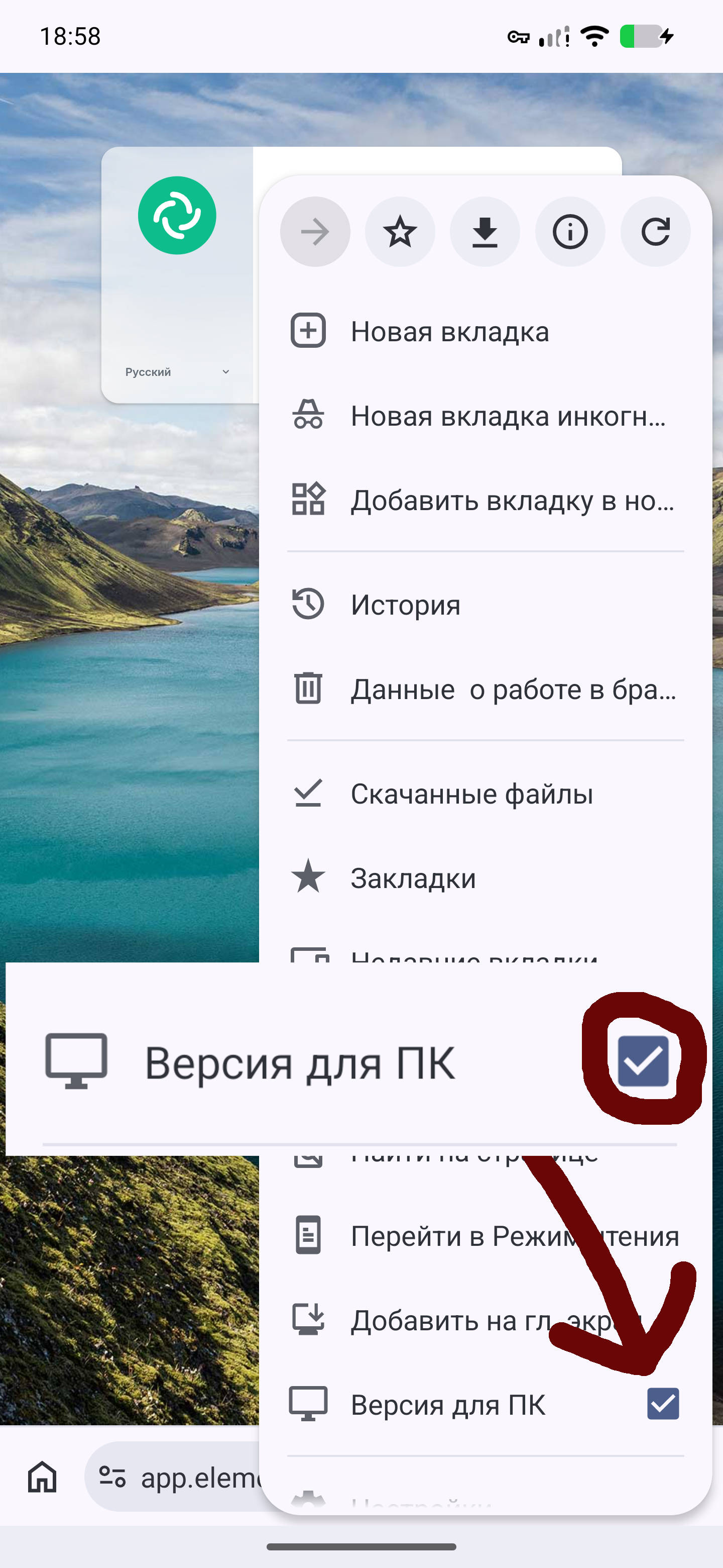 Версия для ПК — чекбокс переключения в мобильном браузере